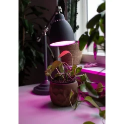 Airam LED Växtlampa Filament E27