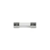 Finsäkring trög 10-pack 5x20mm