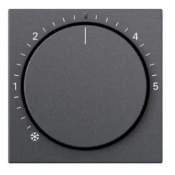 Gira System 55 Centrumplatta Termostat