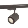 Hide a lite Focus Track Maxi