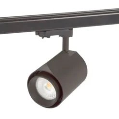 Hide a lite Focus Track Mega
