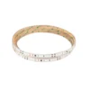 Hide-a-lite LEDstrip MidLum 230V IP65
