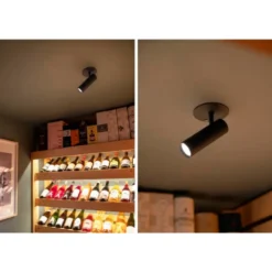 Hide a lite Spotlight Optic Spot XS 36°