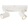 Lucide Amigo 2L Takspotlight GU10