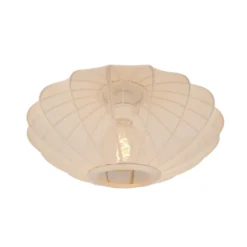 Lucide Corina 40 Taklampa E27