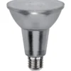 Star Trading PAR30 7,4W (82W) E27 Dim